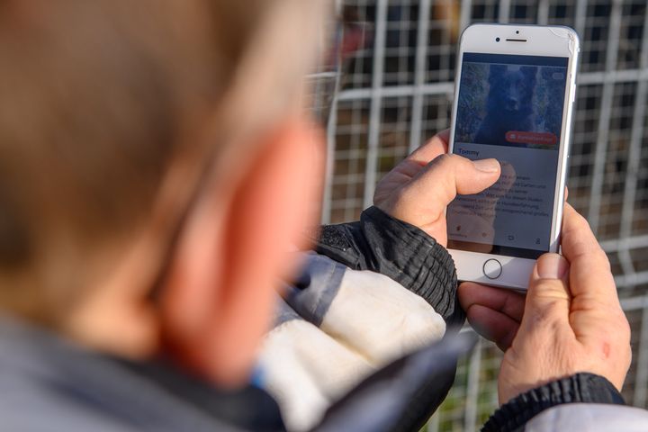 A man swiping on a phone