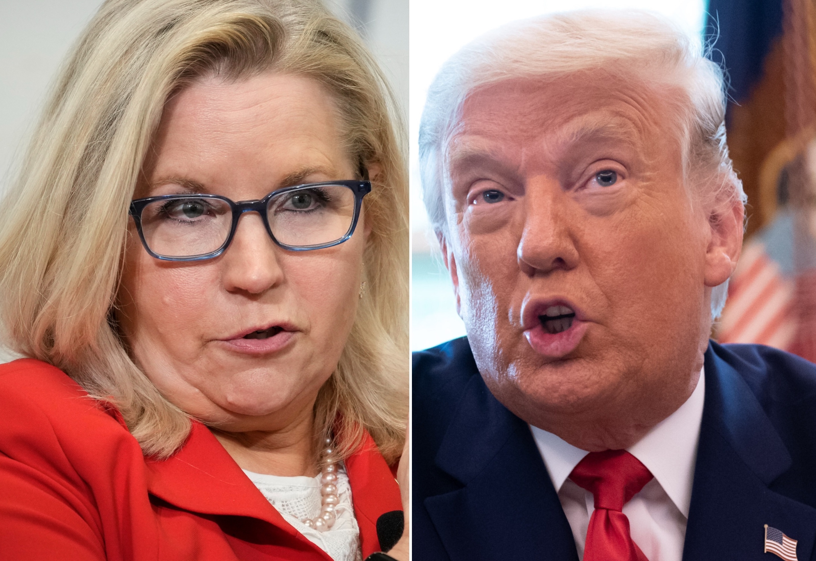 Former Rep. Liz Cheney Baits Donald Trump And The MAGA Mob In New ...