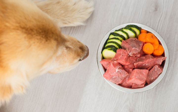 A raw diet for your dog might sound great, but vets say it's not safe. 