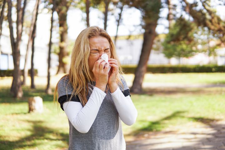 Hayfever season is currently in full swing.