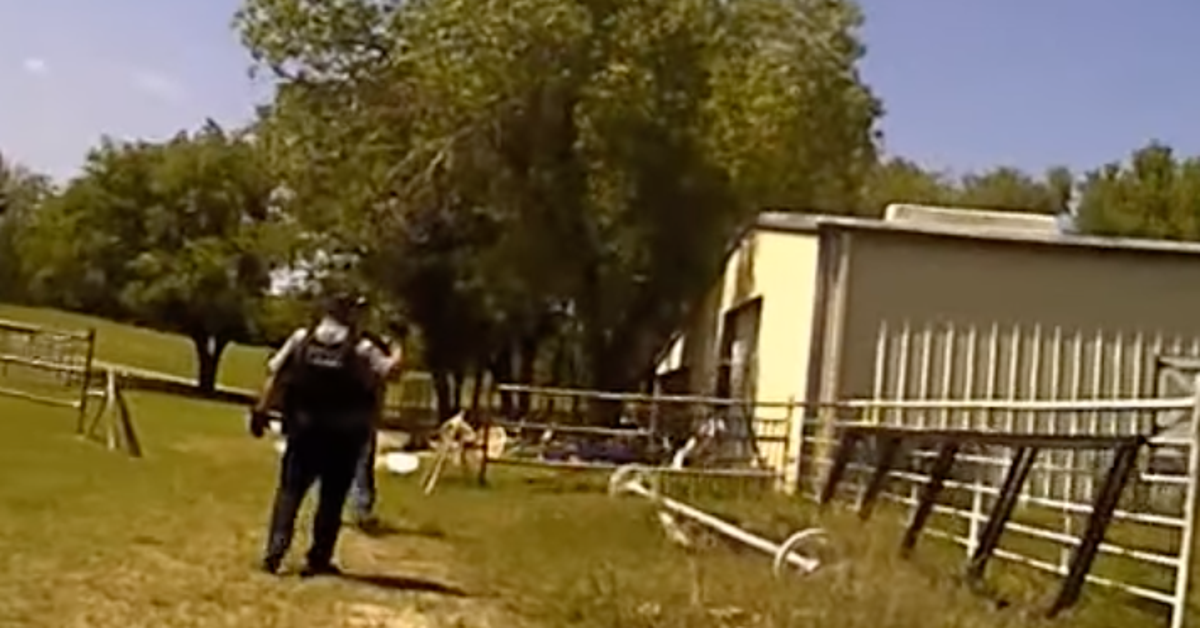 Oklahoma Police Sprint Toward 'Help' Screams, Find Barnyard Surprise - Vimarsana News