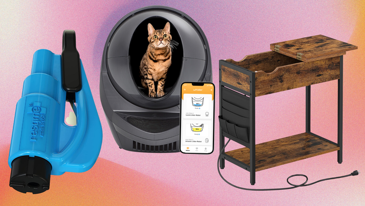 Car safety keychain, Litter Robot and charging nightstand.