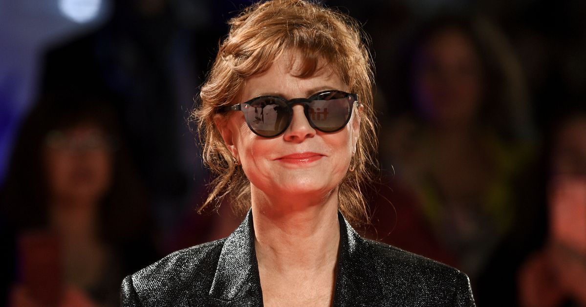 Susan Sarandon Arrested While Protesting For Minimum Wage Increase At New York Capitol