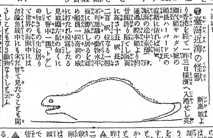 明治42年3月5日付の東京朝日新聞に掲載された「台湾近海の怪獣」の記事