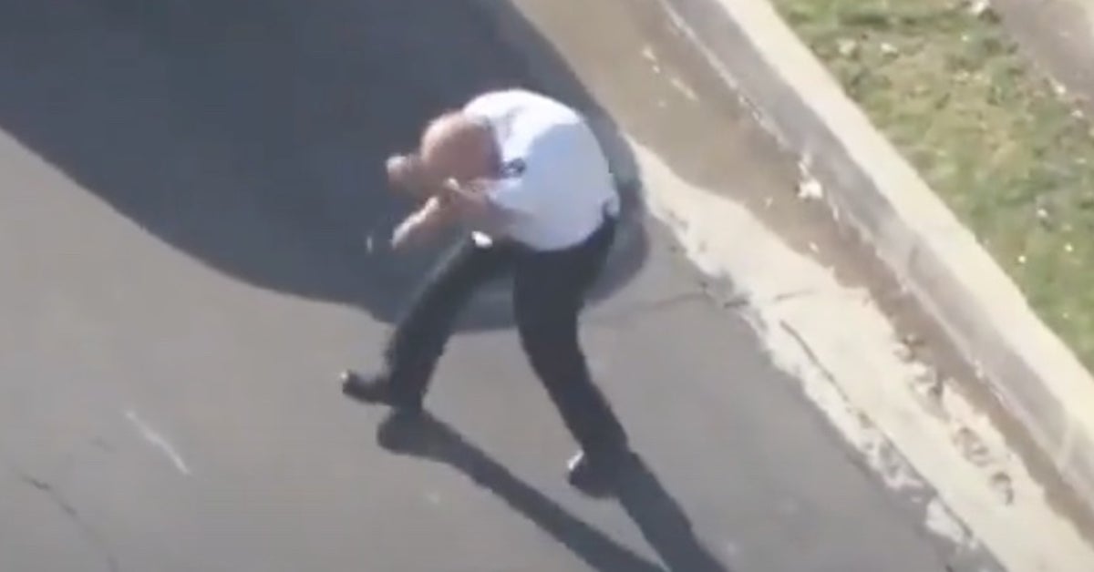 Horrifying Bee Attack Caught On Camera In California Horrifying Bee Attack Caught On Camera In California