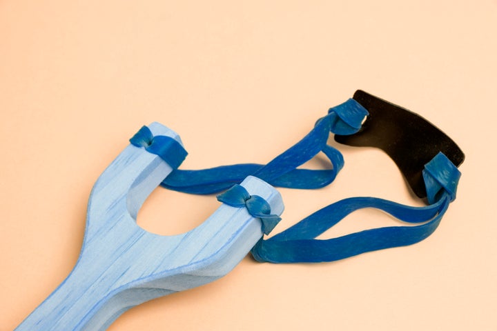 Boy Uses Slingshot To Save 8YearOld Sister From Backyard Abduction