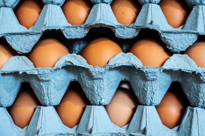 Terms on egg cartons, like "organic," "cage-free" and "free-range," all have different levels of regulation.