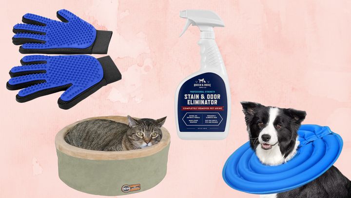 A pet hair glove brush, warming cat bed, stain and odor remover and dog cone.