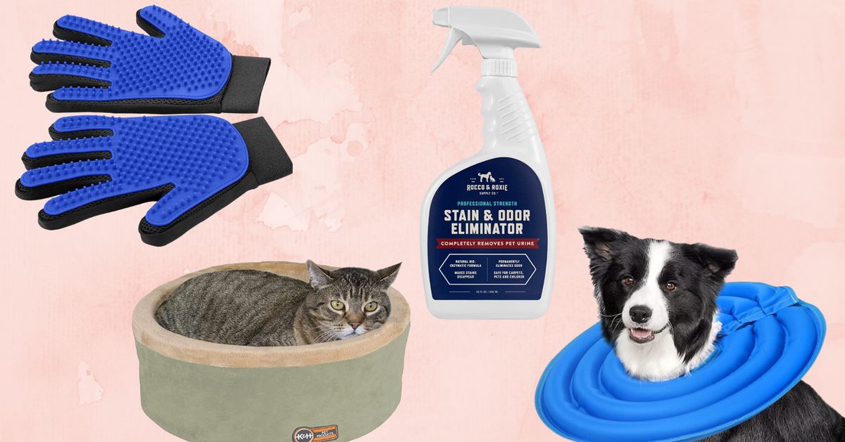 Genius! These Reusable Pee Pads for Dogs Look Like Area Rugs