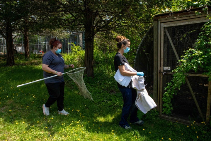 Bird flu means poultry workers have to take more precaution