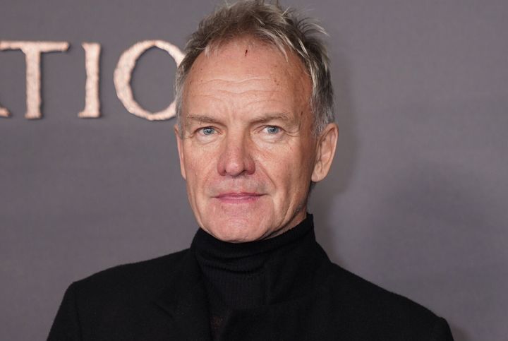 Sting pictured last year