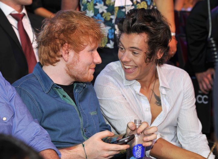 Ed and Harry pictured in 2013