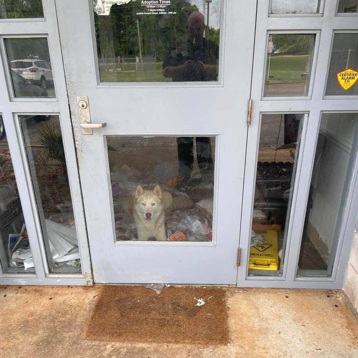 Colbert County Animal Shelter's director can be seen in the window's reflection, smoking a cigarette while snapping a photo of Titan and his mess.