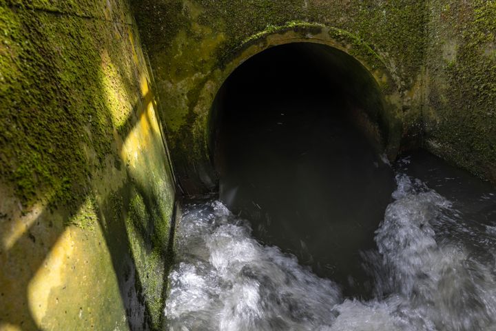 Sewage is discharged into Earlswood brook from the nearby treatment works, run by Thames Water in South Earlswood, England.