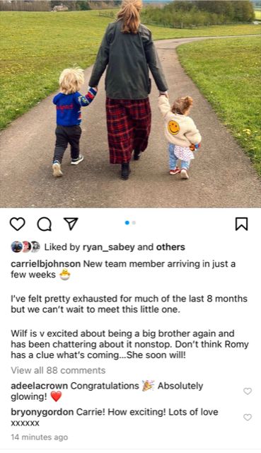 Carrie Johnson announced the news on Instagram