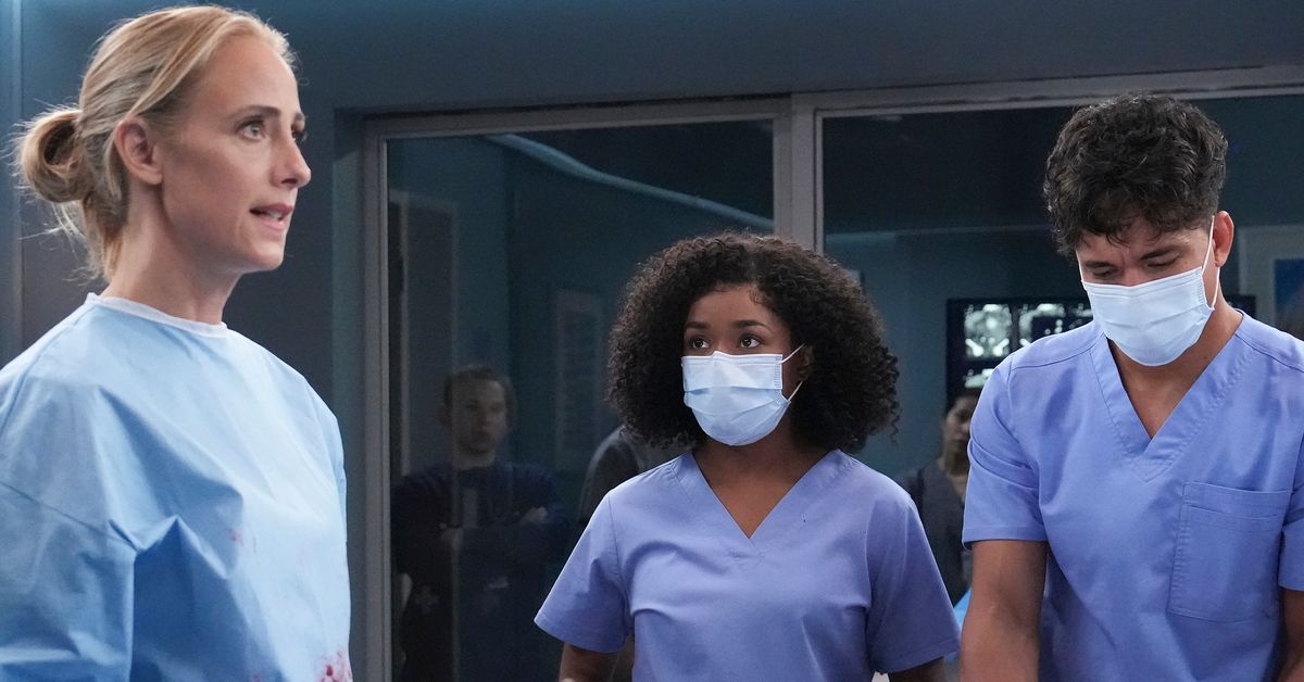 Grey's Anatomy' Season 19 Was A Struggle To Watch