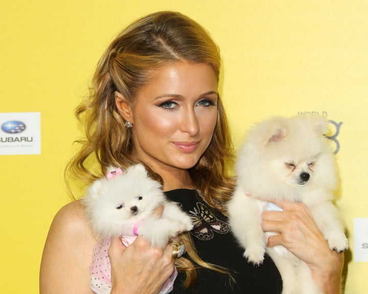 Paris Hilton often appears with furry friends — even on the red carpet. 