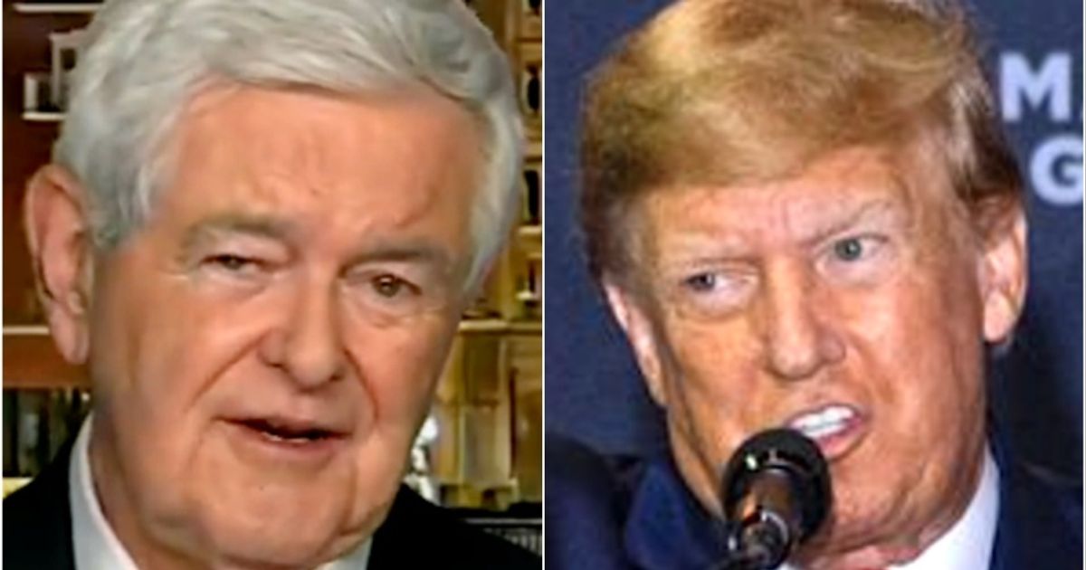 Newt Gingrich's Unintentional Burn Of Donald Trump Is Priceless