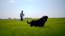 House Bill Introduced To Fight State Bans On Who Can Own Land
