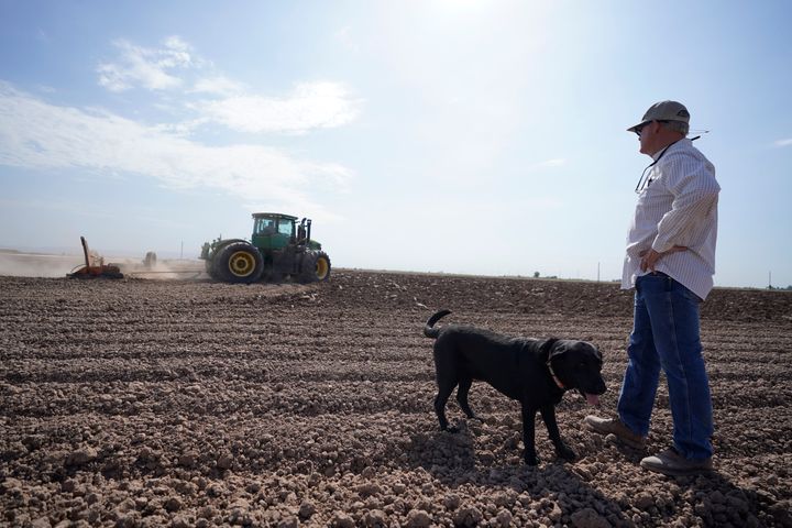 Farmer Larry Cox walks with his dog, Brodie, at his farm in August 2022, near Brawley, California.