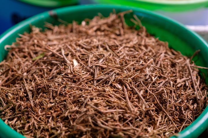 Close-up on dried ashwagandha roots used for herbal tea on Sept. 25, 2018, on Bunjako Island, Mpigi District, Uganda. 