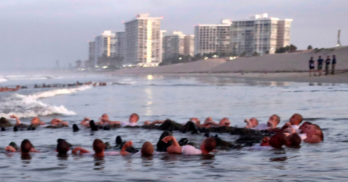 Navy SEALs Training Plagued With Failures, Investigation Finds After Sailor’s Death Navy SEALs Training Plagued With Failures, Investigation Finds After Sailor’s Death