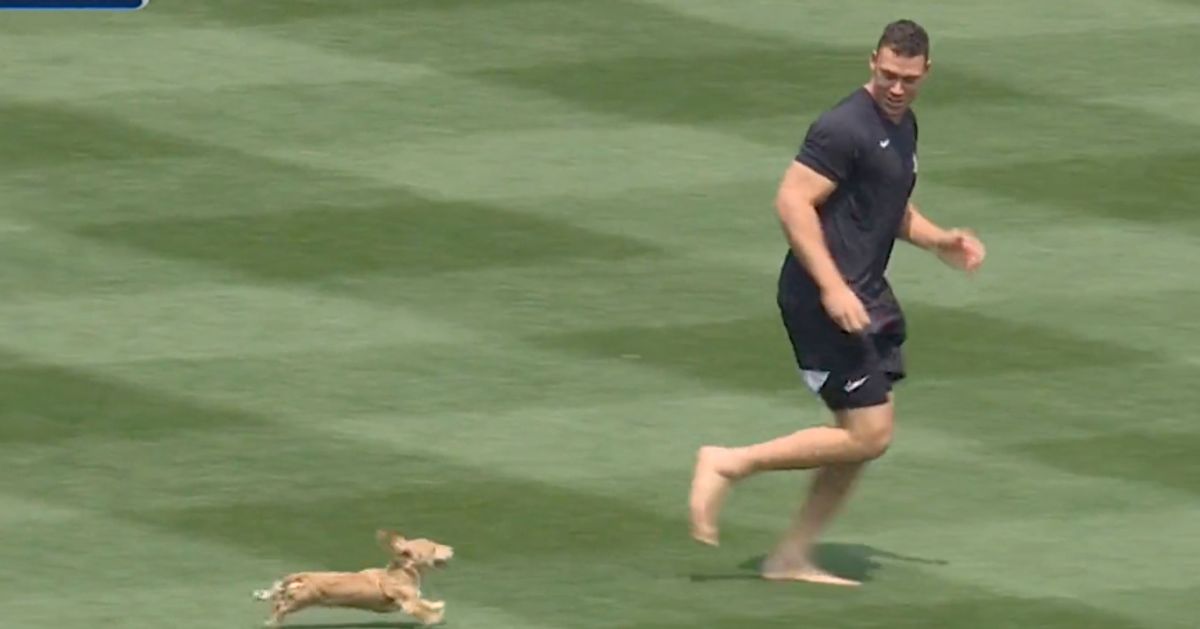 Aaron Judge Plays With His Dog Gus At Yankee Stadium In 'All-Time