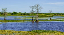Trump Rolled Back Decades Of Clean Water Protections. The Supreme Court Just Went Even Further.