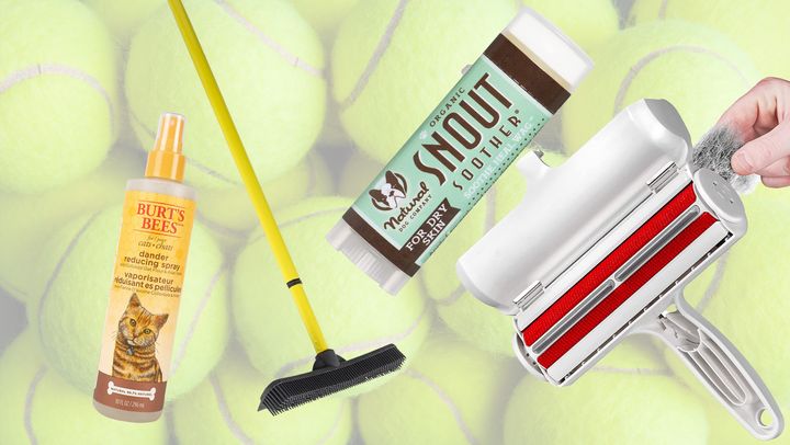 A dander spray, a rubber broom, snout moisturizing stick, and pet hair roller