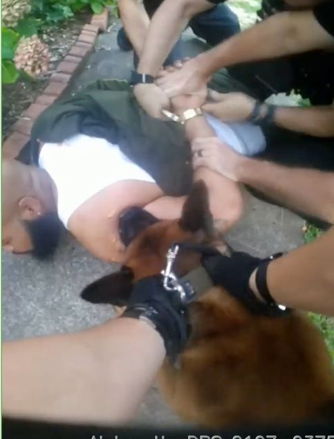 Michael Esposito's body camera footage shows Travis Moya restrained as a K-9 bites him.