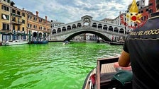  Venice Canal Turns Green And The Mystery Is Solved