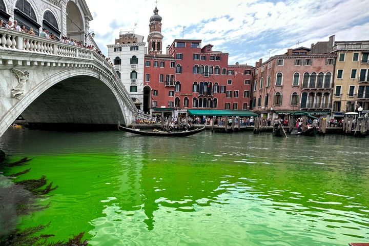 Gondolas navigate by the Rialto Bridge on Venice's historical Grand Canal as a patch of phosphorescent green liquid spreads in it. 