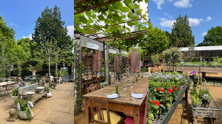 From left: Petersham Nurseries' home goods shop, dining room and plants for sale.