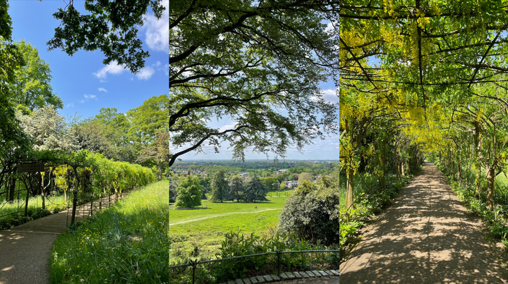 Pemandangan dari King Henry's Mound di Richmond Park.