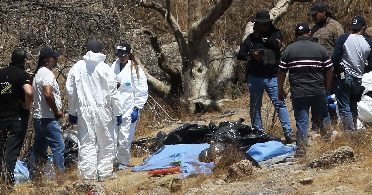 Des dizaines de sacs contenant des restes humains découverts dans l’ouest du Mexique