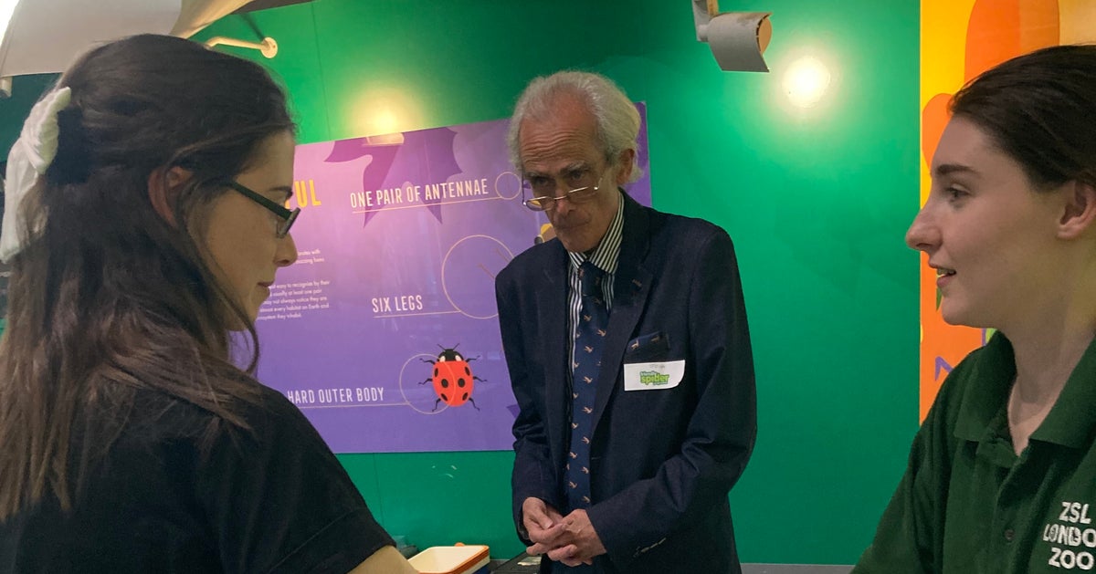 I Have Crippling Arachnophobia. So, Naturally, I Went To London Zoo To Be Hypnotised Out Of It - Vimarsana News