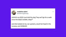20 Of The Funniest Tweets About Cats And Dogs This Week