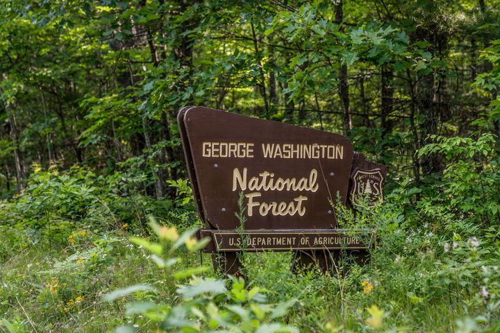 The entrance to George Washington National Forest, where a private Cessna Citation crashed, is pictured. 