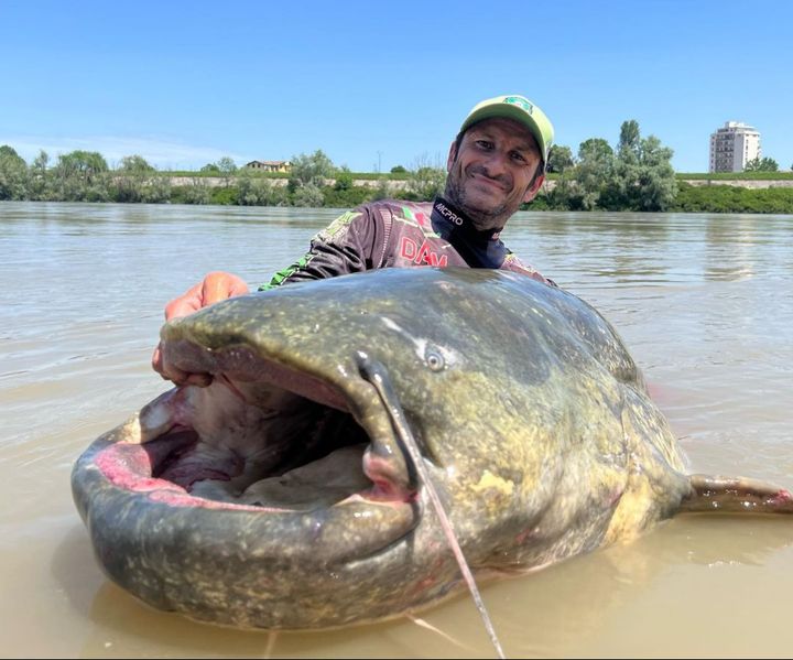 Alessandro Biancardi with a large catfish that he caught on the river Po in Italy.