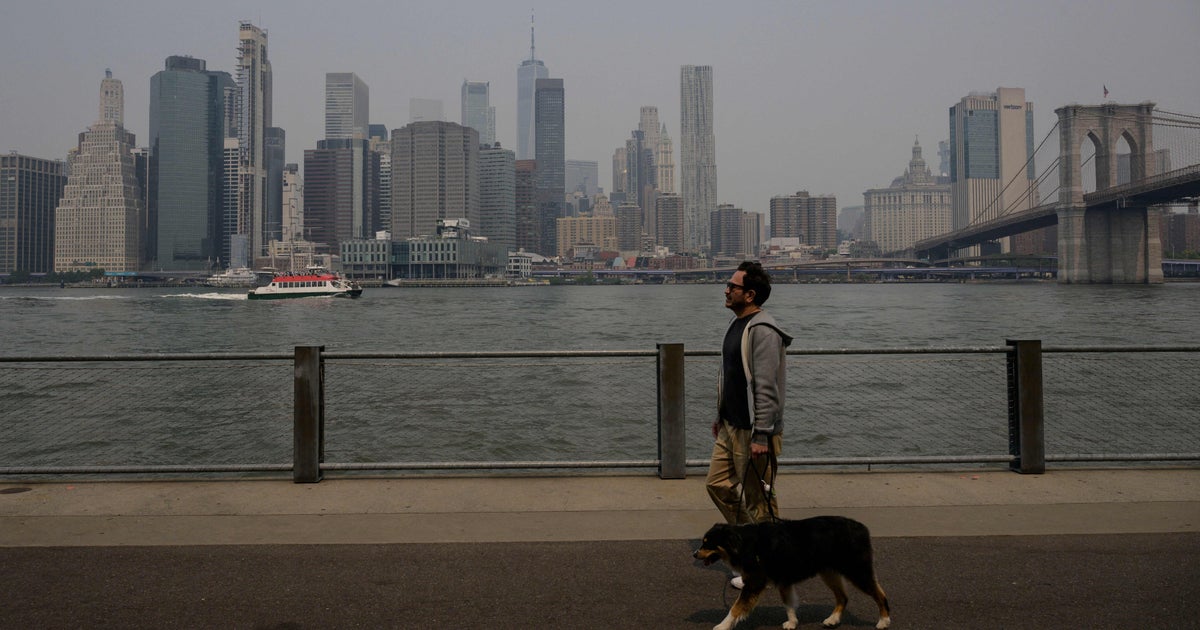 Poor Air Quality Is Bad For Pets, Too. Take These Steps To Protect Them Now. Poor Air Quality Is Bad For Pets, Too. Take These Steps To Protect Them Now.