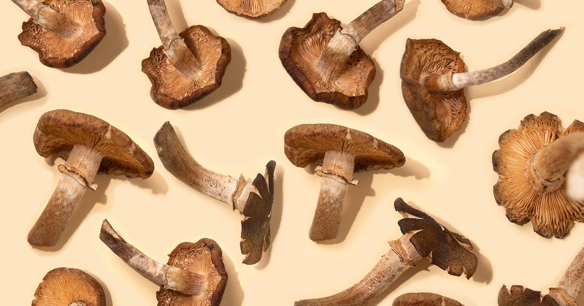 These Mushroom Coffee Benefits Will Make You Ditch Your Latte - Vimarsana News