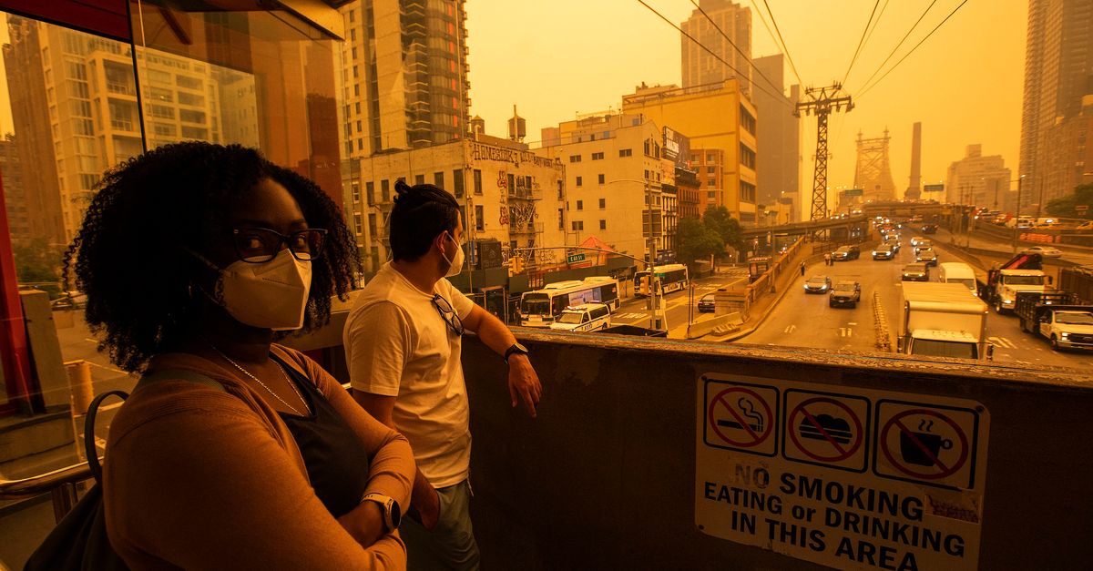 Waldbrandrauch verdeutlicht die tatsächlichen Kosten sauberer Luft