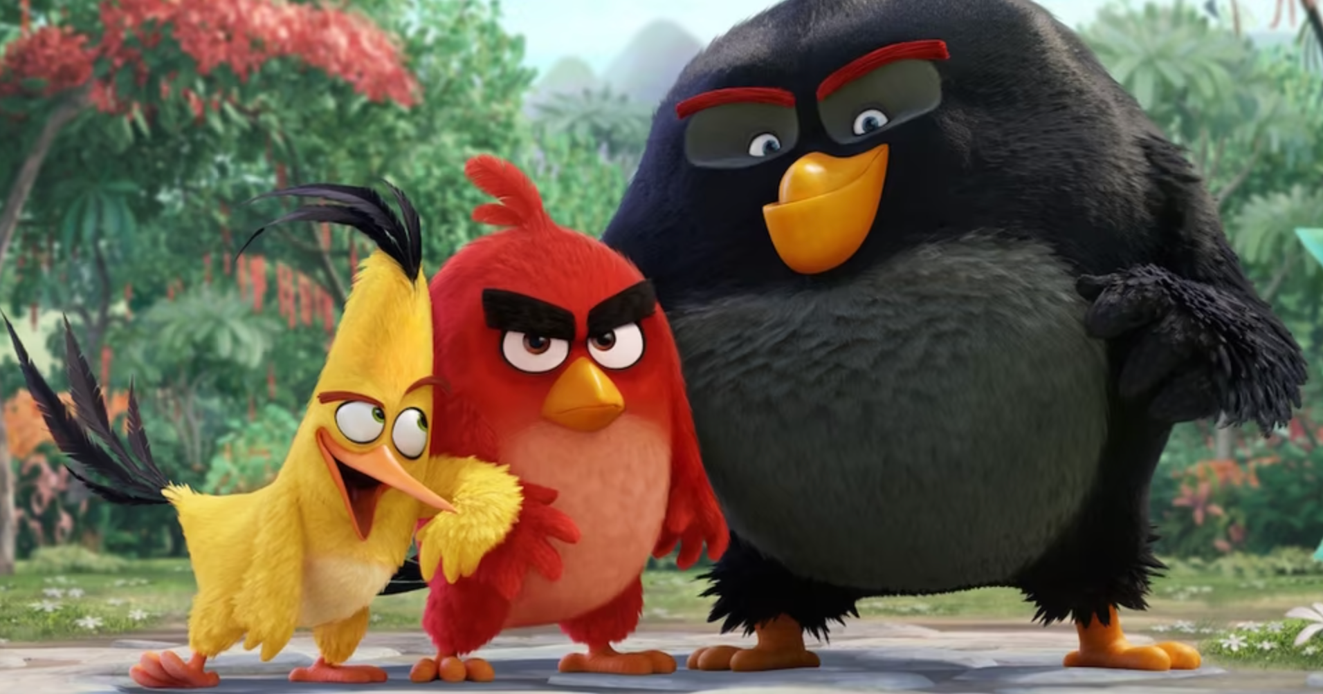 The Most Popular Movies On Netflix Besides The Angry Birds Movie The Most Popular Movies On Netflix Besides The Angry Birds Movie