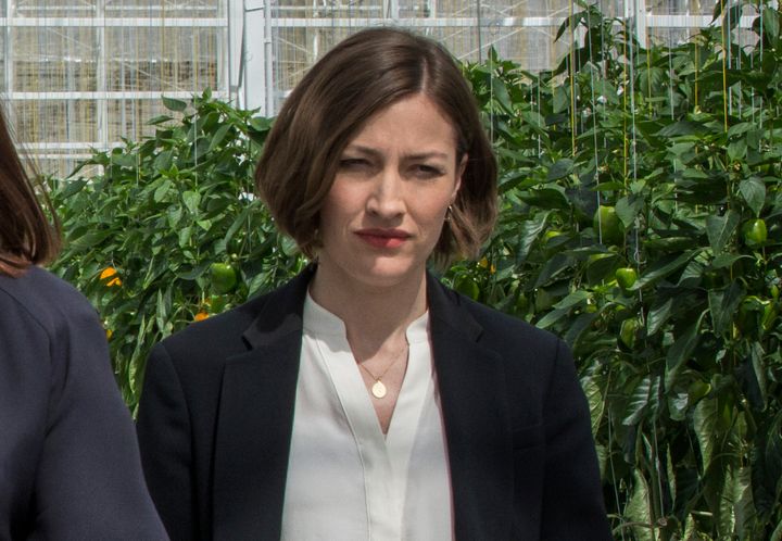 Kelly MacDonald in Hated In The Nation