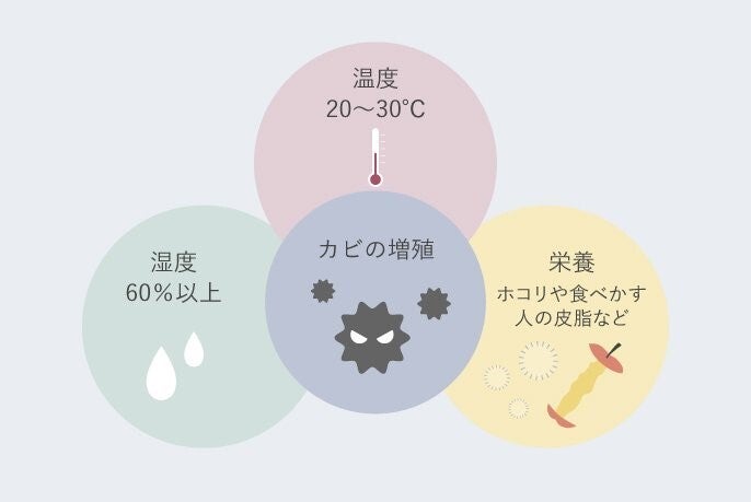 「カビが増殖しやすい環境」の解説