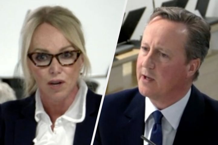 David Cameron was quizzed by Kate Blackwell KC over how prepared the UK was for the Covid pandemic