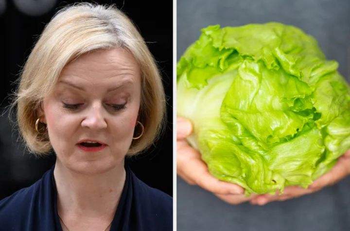 Liz Truss was outlasted by a lettuce.