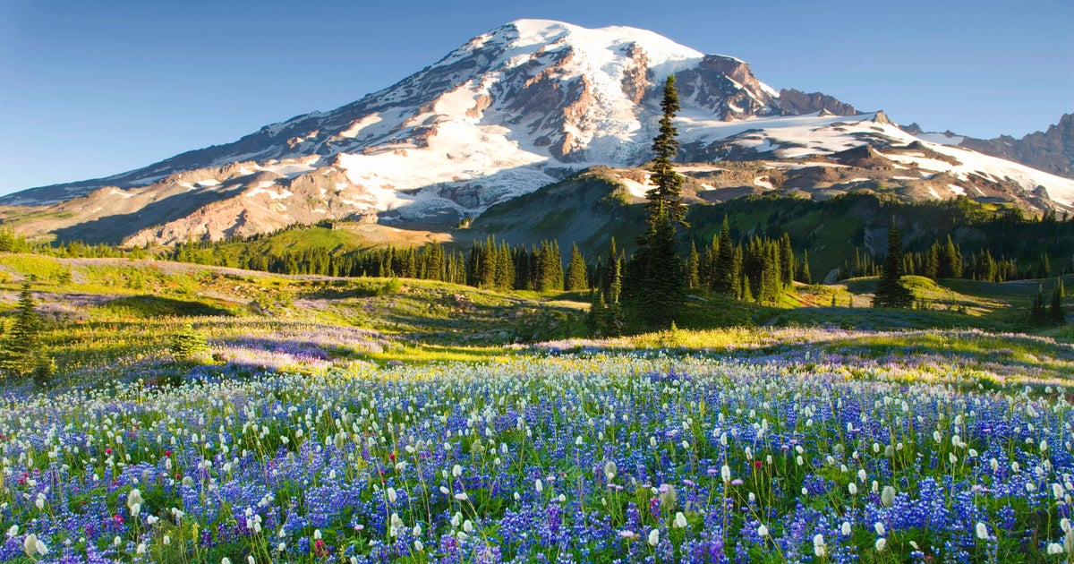 The 10 Best National Parks To Visit In The Summer The 10 Best National Parks To Visit In The Summer