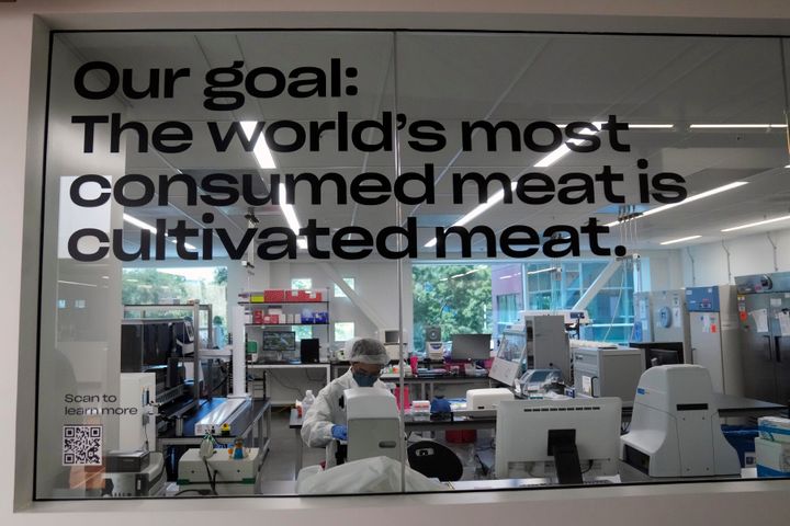 A scientist works in a cellular agriculture lab at Eat Just in Alameda, Calif., Wednesday, June 14, 2023. The Agriculture Department issued final approvals Wednesday, June 21 to California firms Upside Foods and Good Meat to sell the products, known as “lab grown” or “cultivated” meat. (AP Photo/Jeff Chiu)