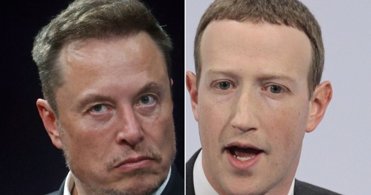 Amid Musk-Zuckerberg 'Cage Match' challenge, video of Facebook CEO training  Jiu Jitsu goes viral, Watch